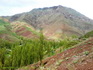 AhmadSharifKazemi1393 (2)_resize.jpg